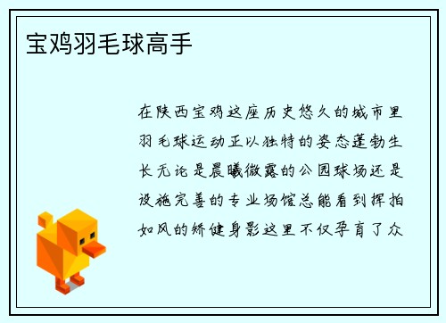 宝鸡羽毛球高手
