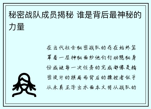 秘密战队成员揭秘 谁是背后最神秘的力量