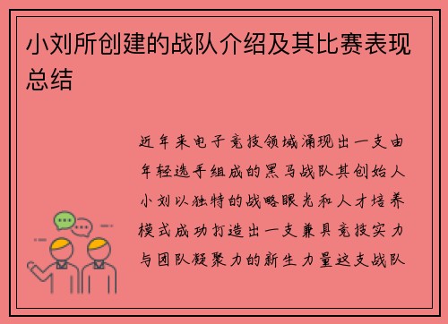 小刘所创建的战队介绍及其比赛表现总结